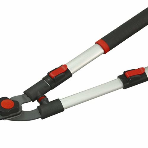 TELESCOPIC SHEARS