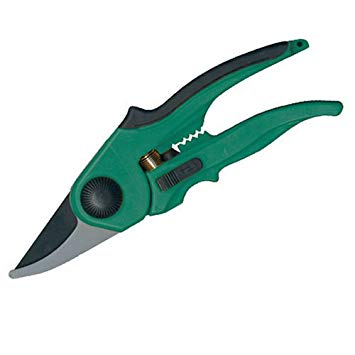 secateurs bypass
